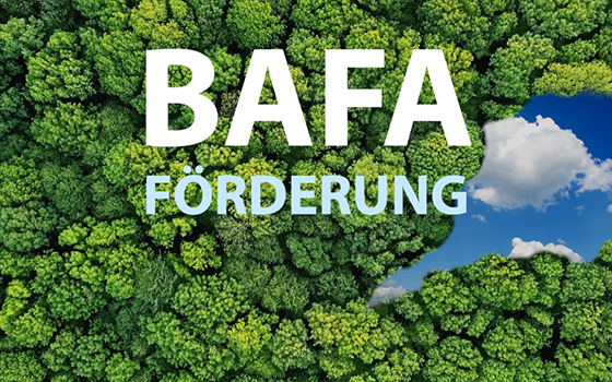 BAFA-Förderung